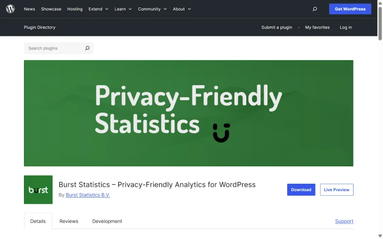 WordPress Plugin for analytics Burst Statistics